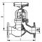 Клапан невозвратно-запорный фланцевый проходной сальниковый
